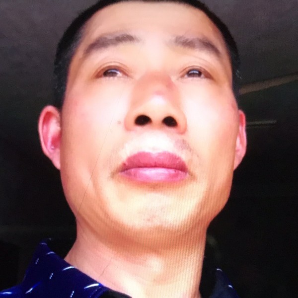 傻瓜呆子的照片