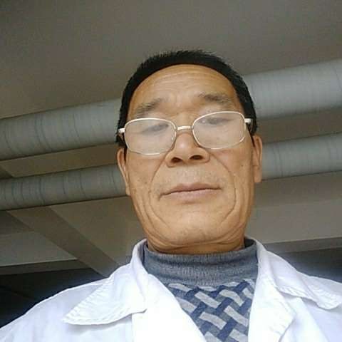 汽车停止鳗鱼的照片