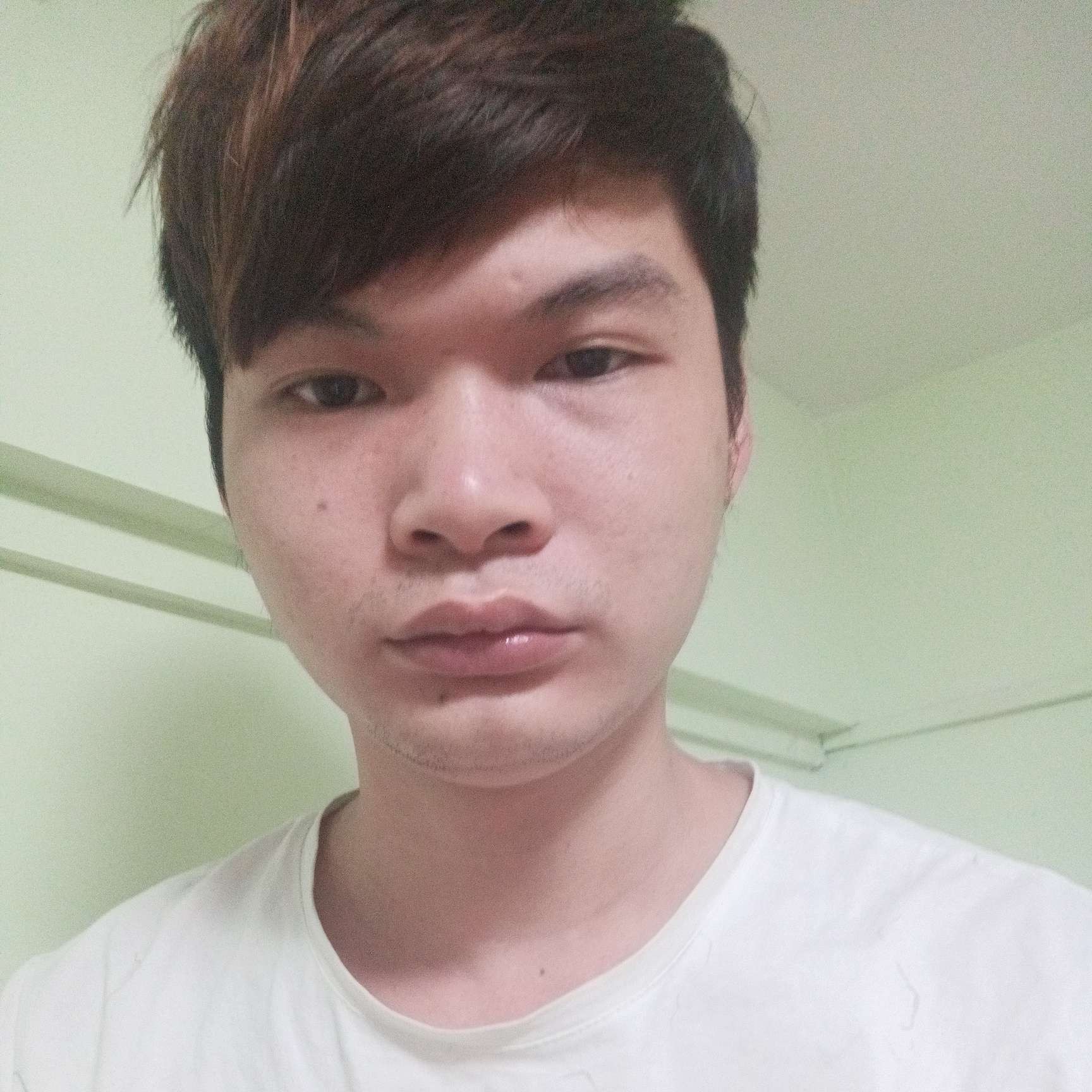 逗比憨憨的照片