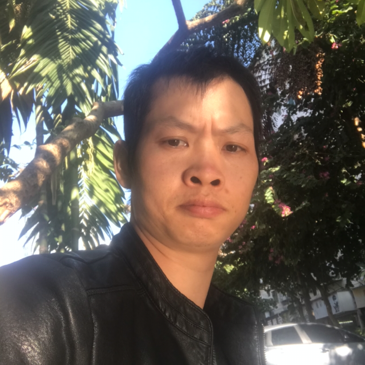 草丛生动的照片