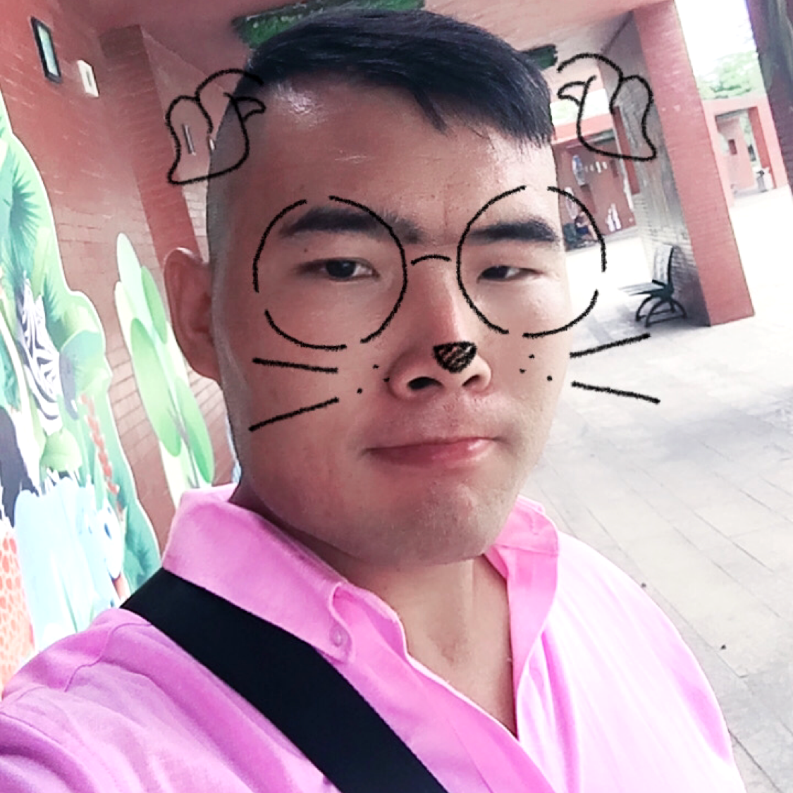 fei黎莫属的照片