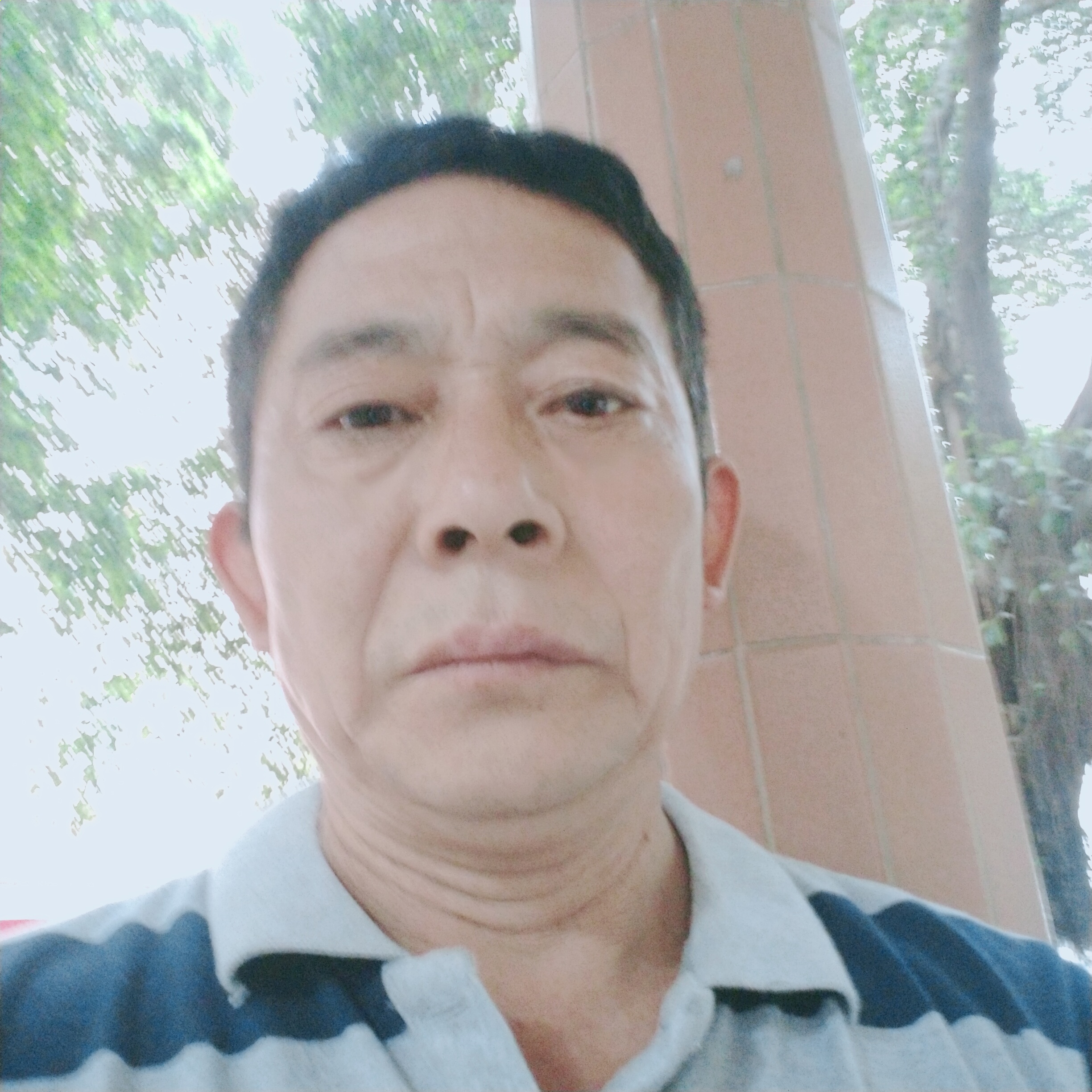 光亮浅吻尘宵的照片