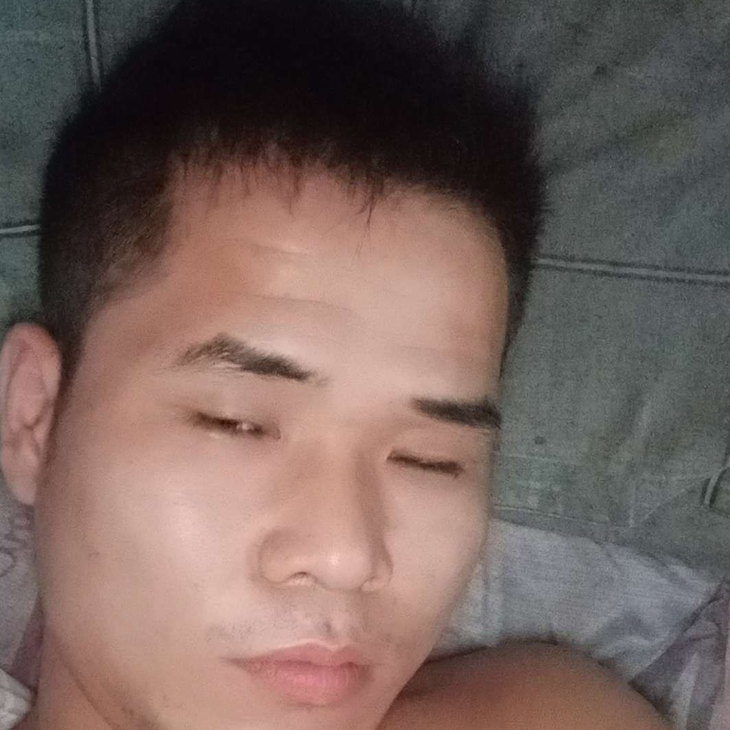 落寞向白猫的照片