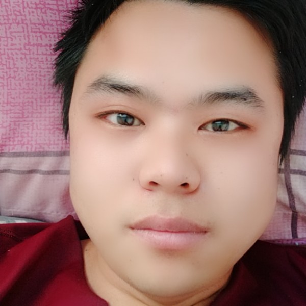 纸鹤欠你的的照片