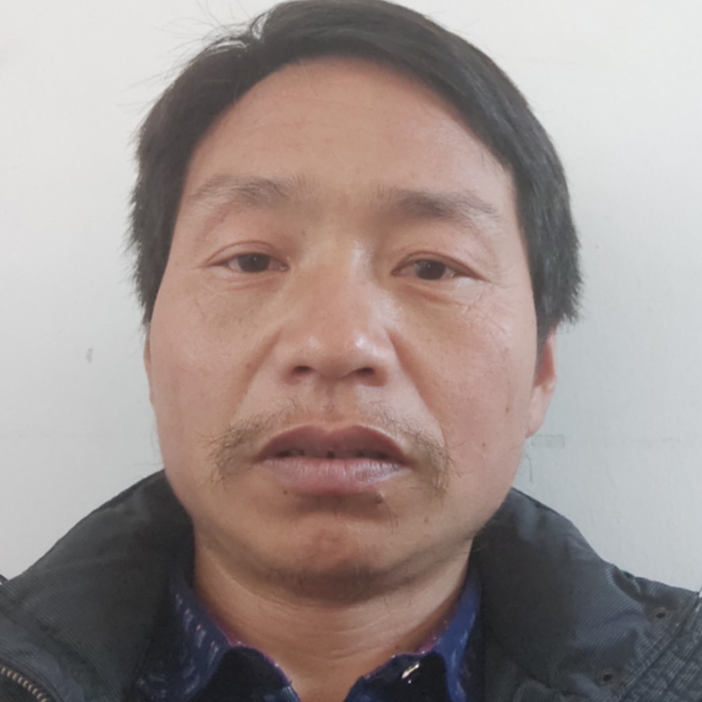 鼠标平常的照片