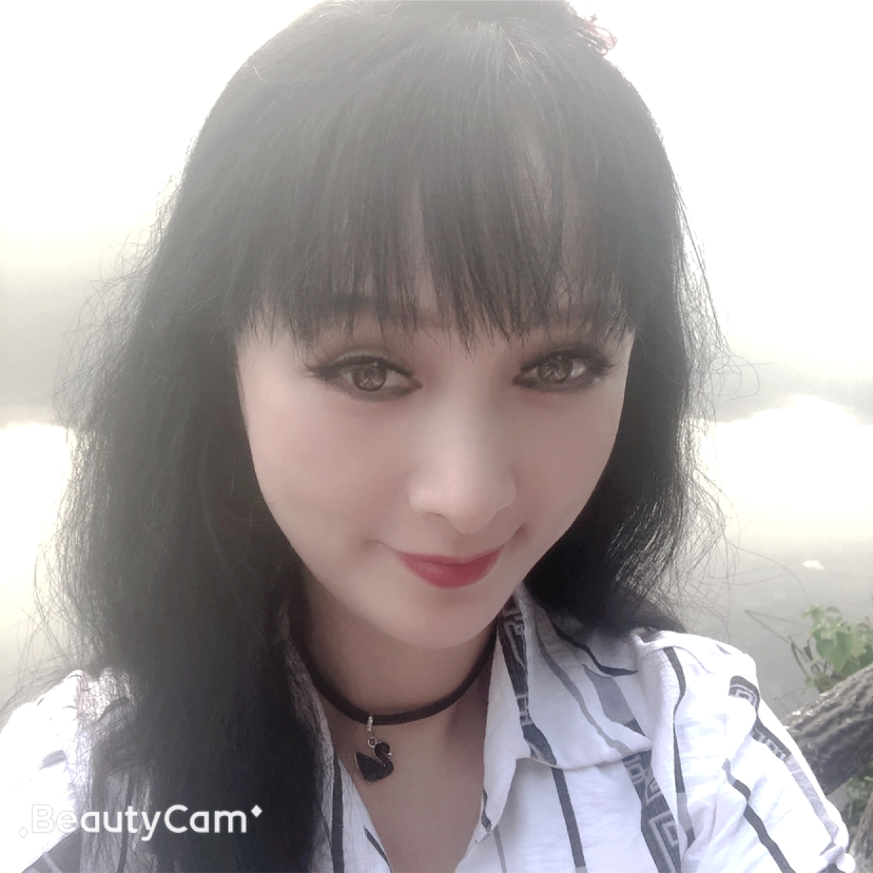 陈晓卿的照片