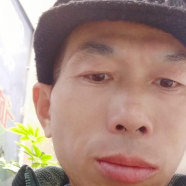 勤劳缥缈的照片