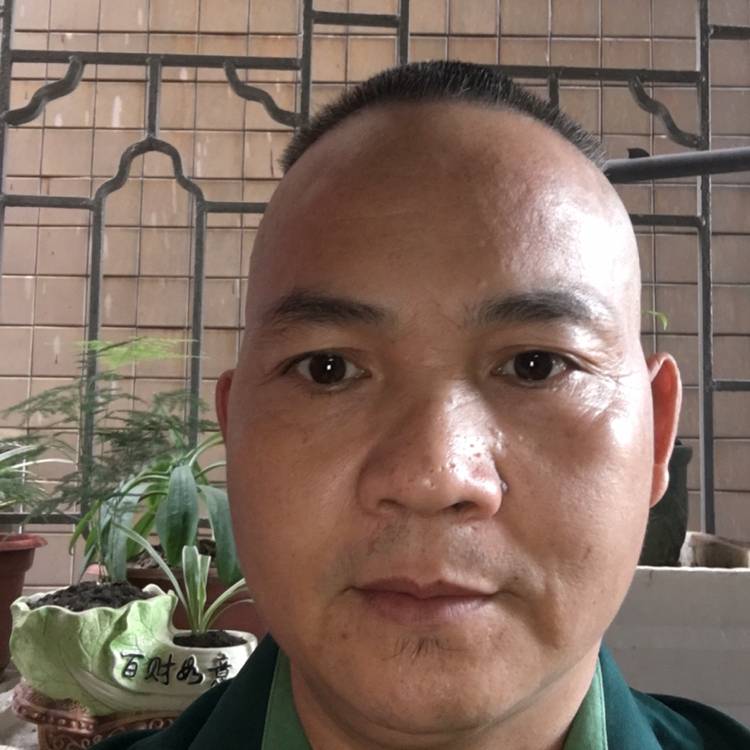 无情邂逅火车的照片