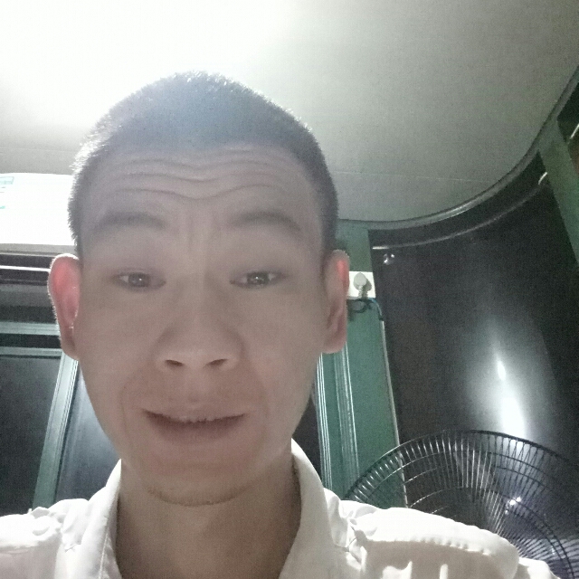欣喜蝶的照片