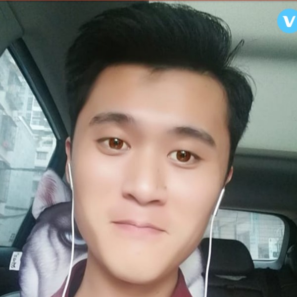 胡言乱语的猪的照片