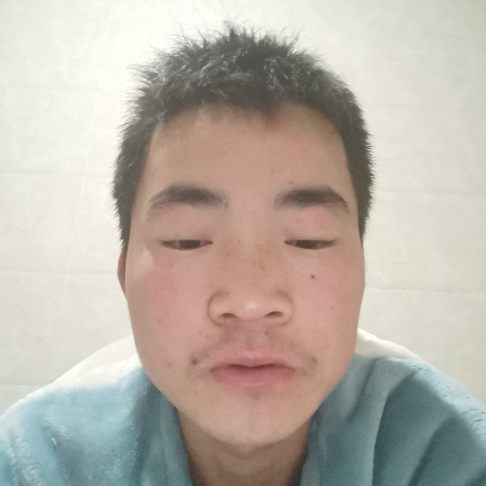 刺猬回首愉快的照片
