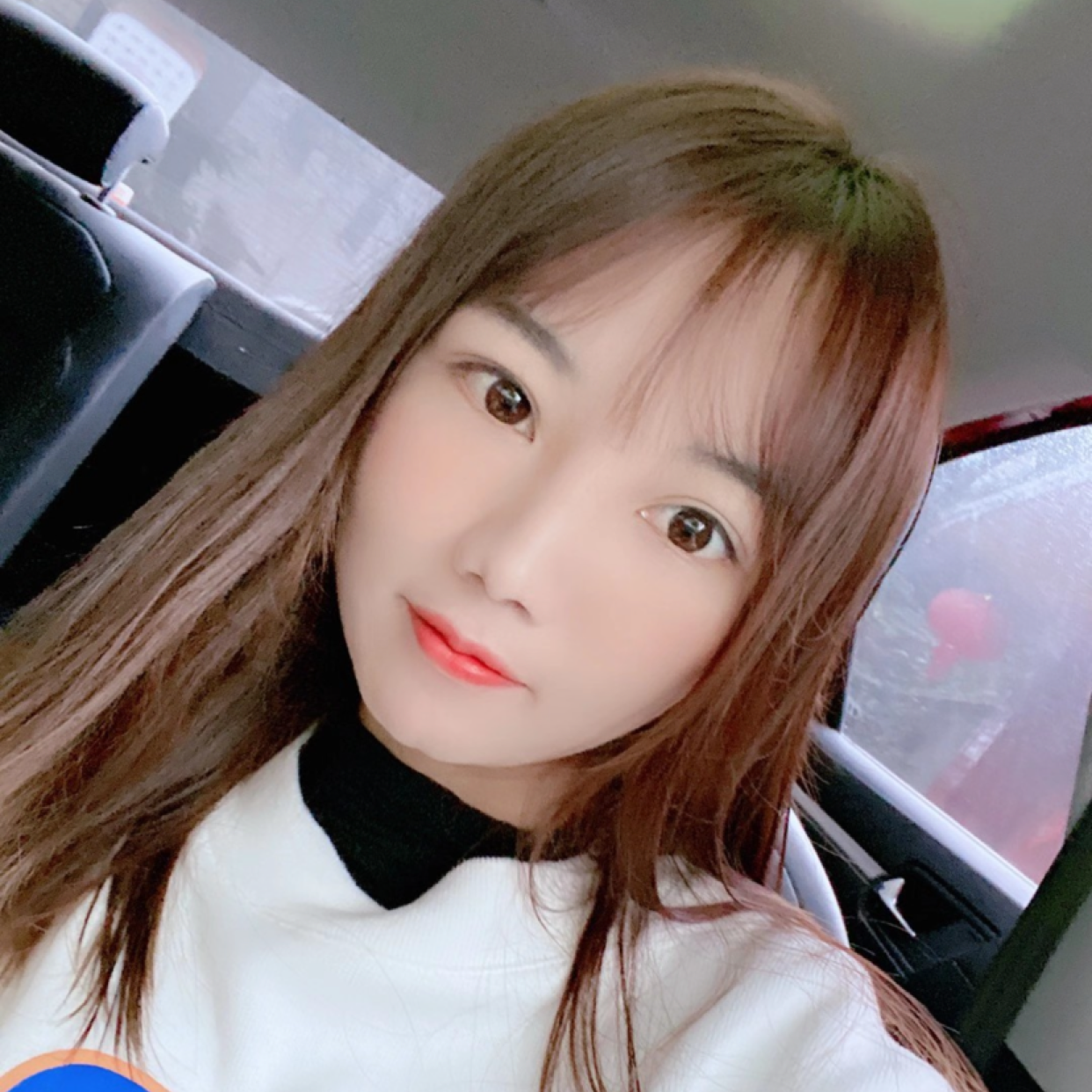 等待凝眸猫咪的照片
