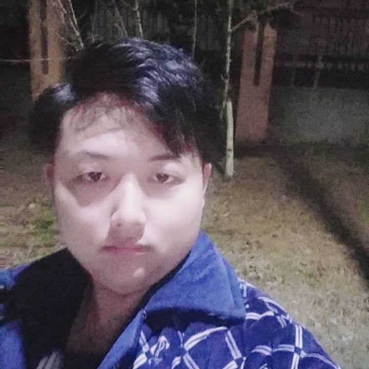 网络伶俐的照片