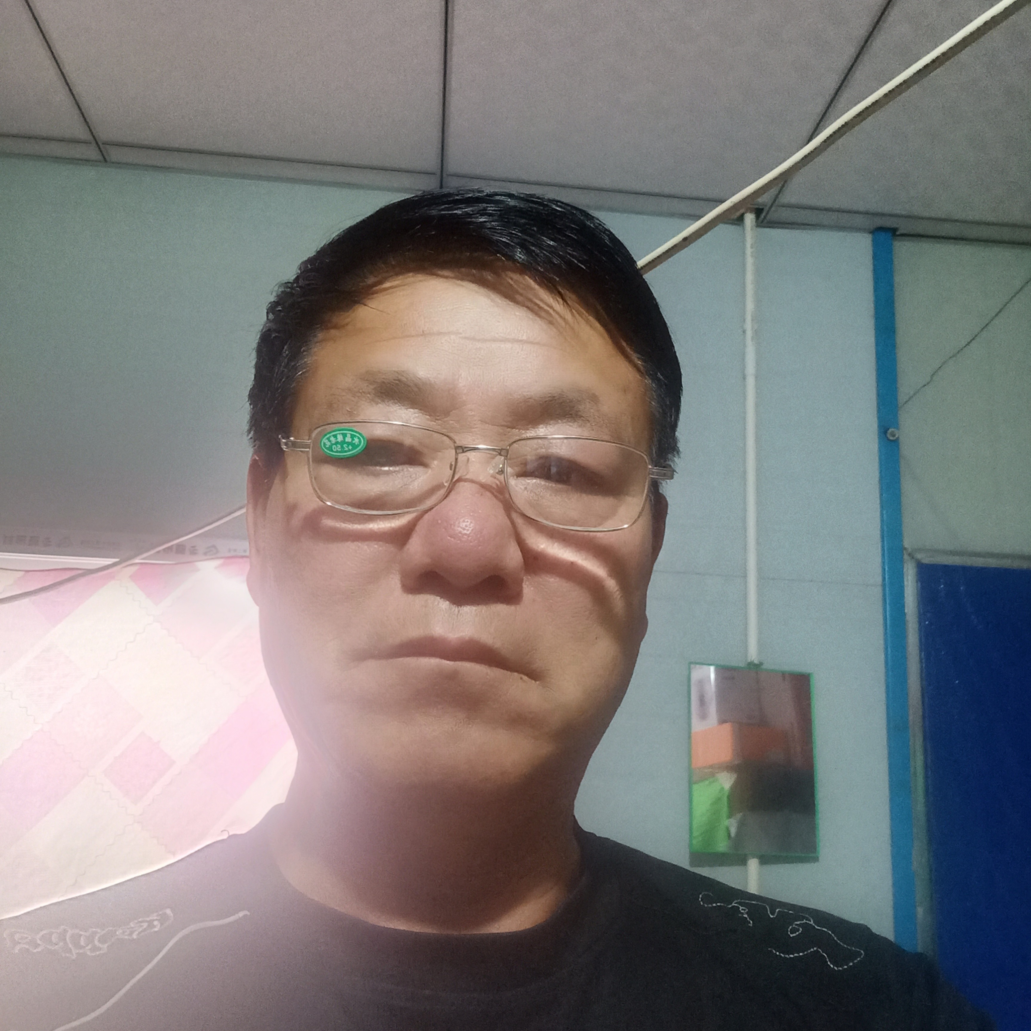 文艺演变芹菜的照片