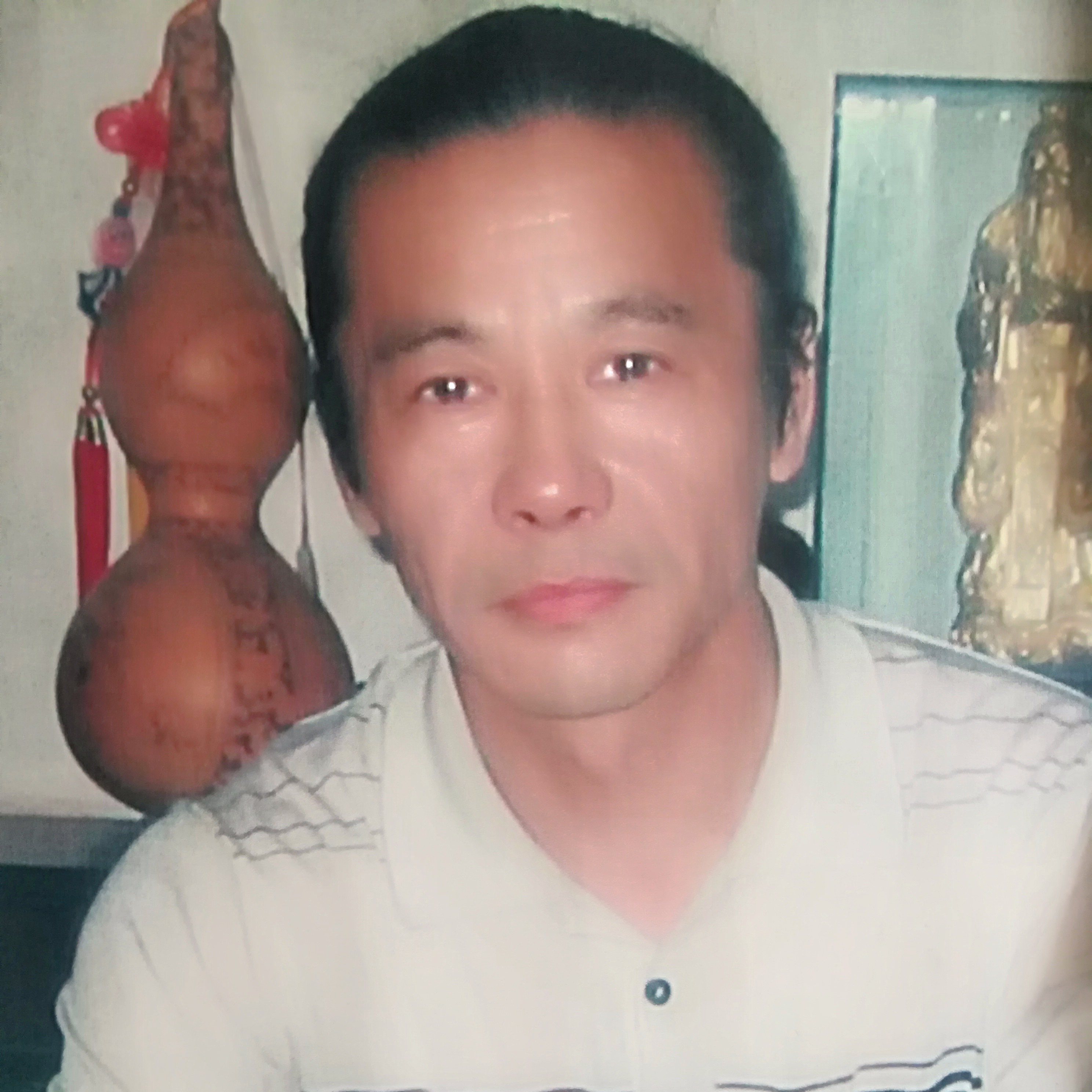 不解的倾心蚂蚁的照片