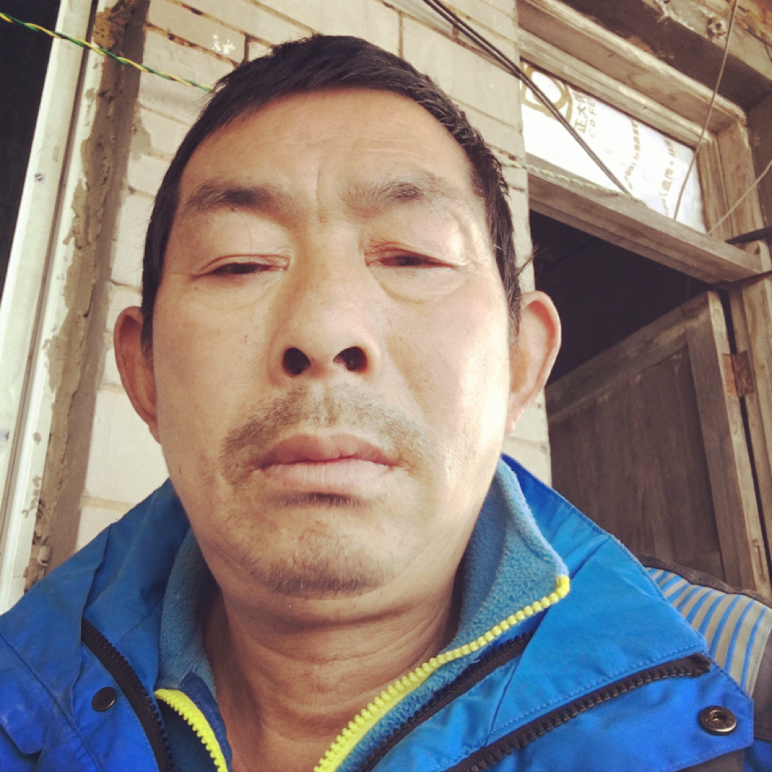 跳跃笑仙人掌的照片