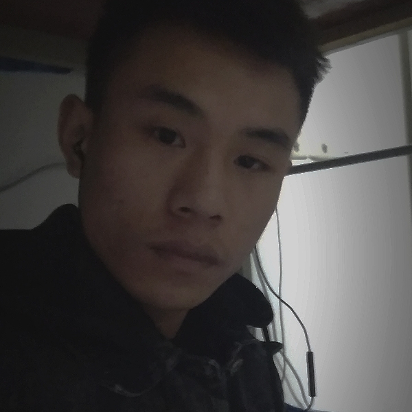 动听的斑马的照片