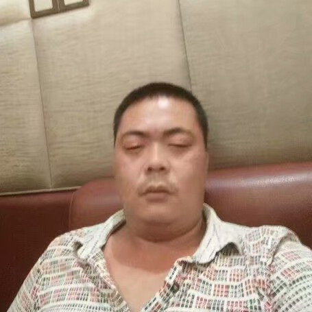 小虎的念想的照片