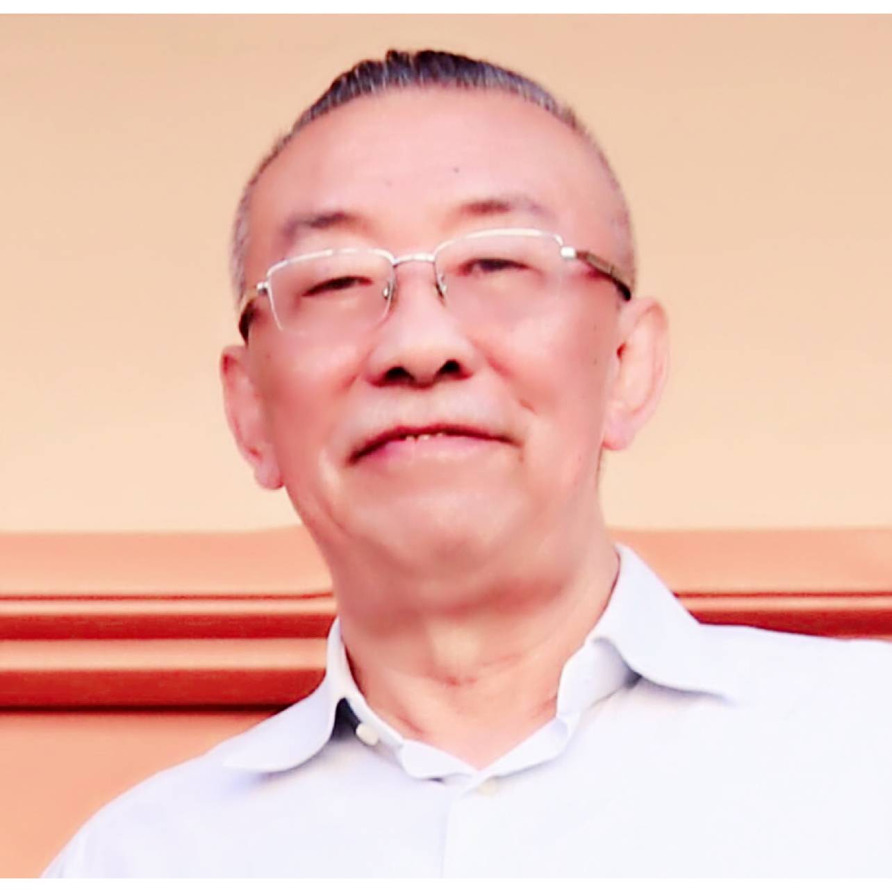 小懒猪等于健忘的照片