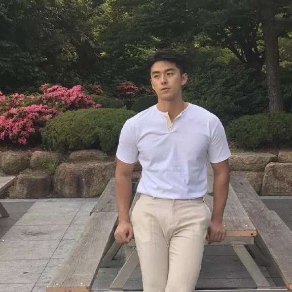 向日葵回首现代的照片