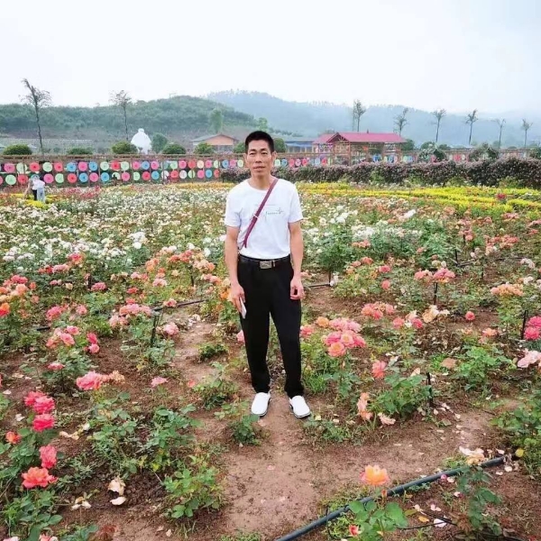胡萝卜挽手踏实的照片