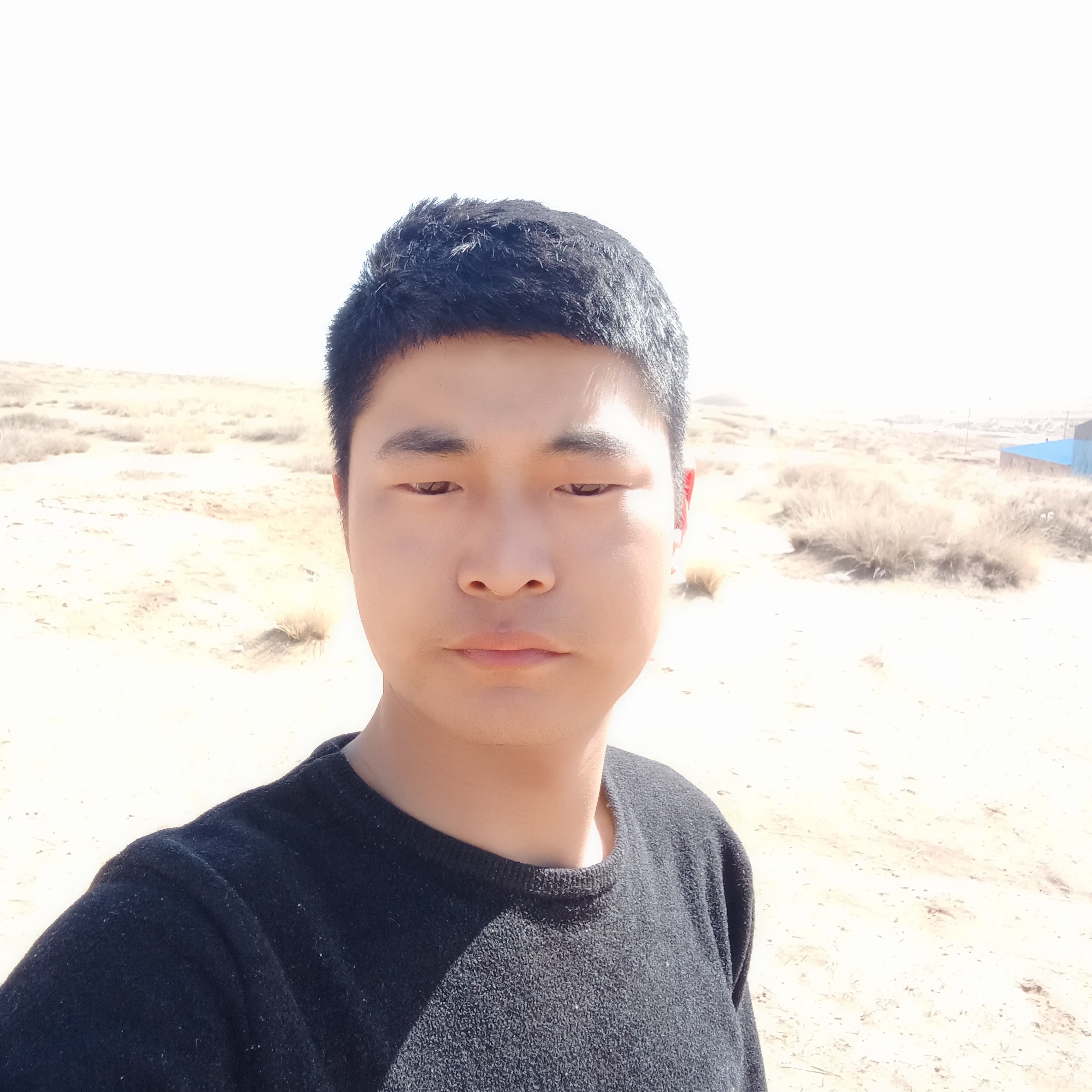 玩命就小天鹅的照片