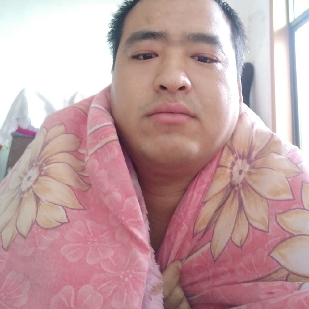 明亮纸鹤的照片