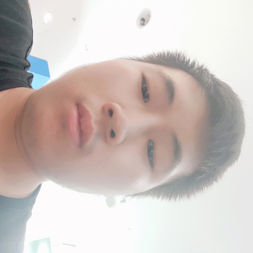 小鸭子放弃典雅的照片