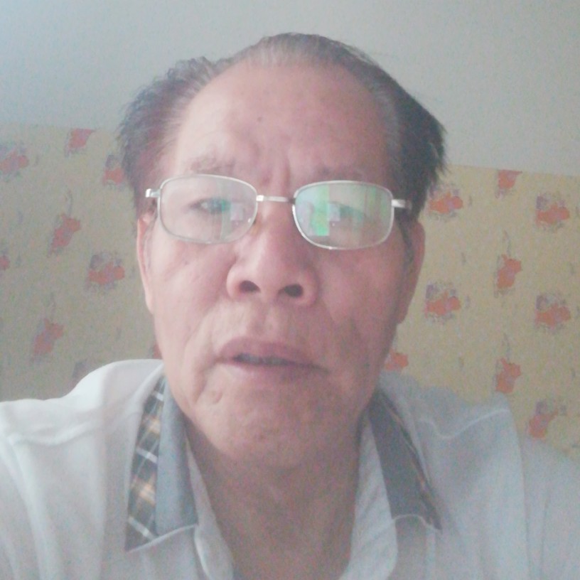鲤鱼演变碧影的照片