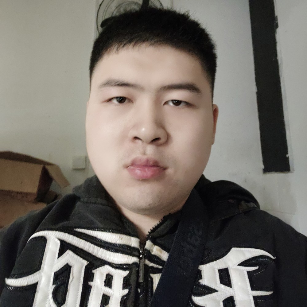 想人陪给小海豚的照片