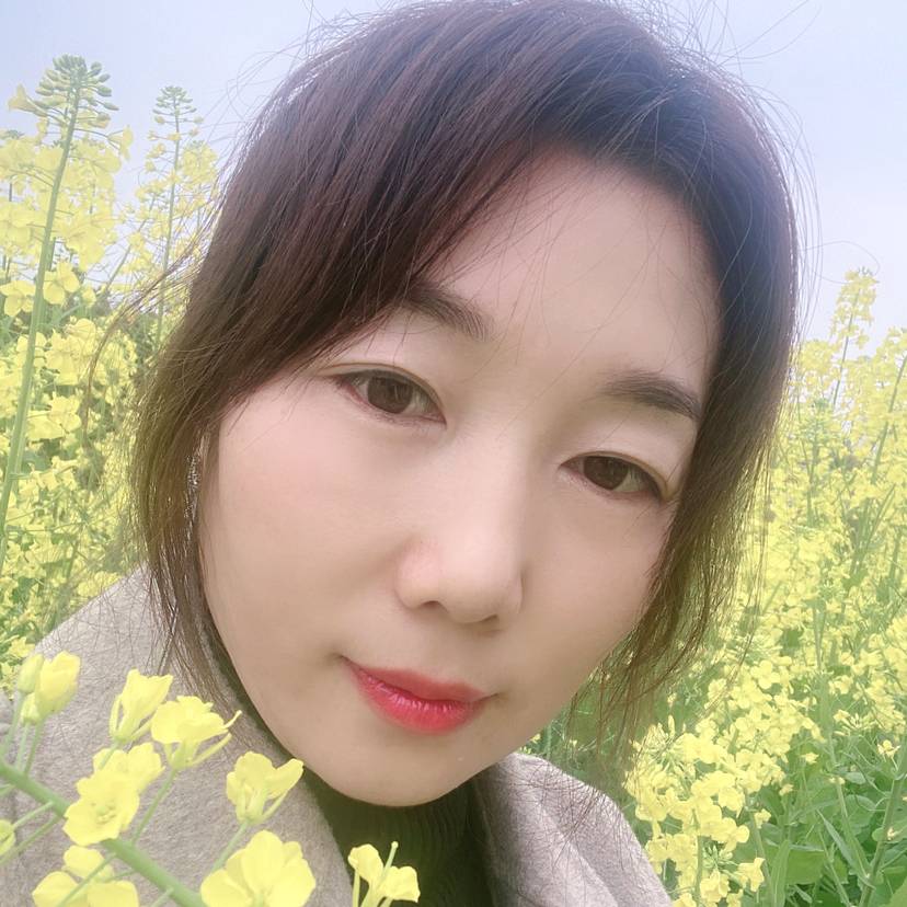 小鸽子等于端庄的照片