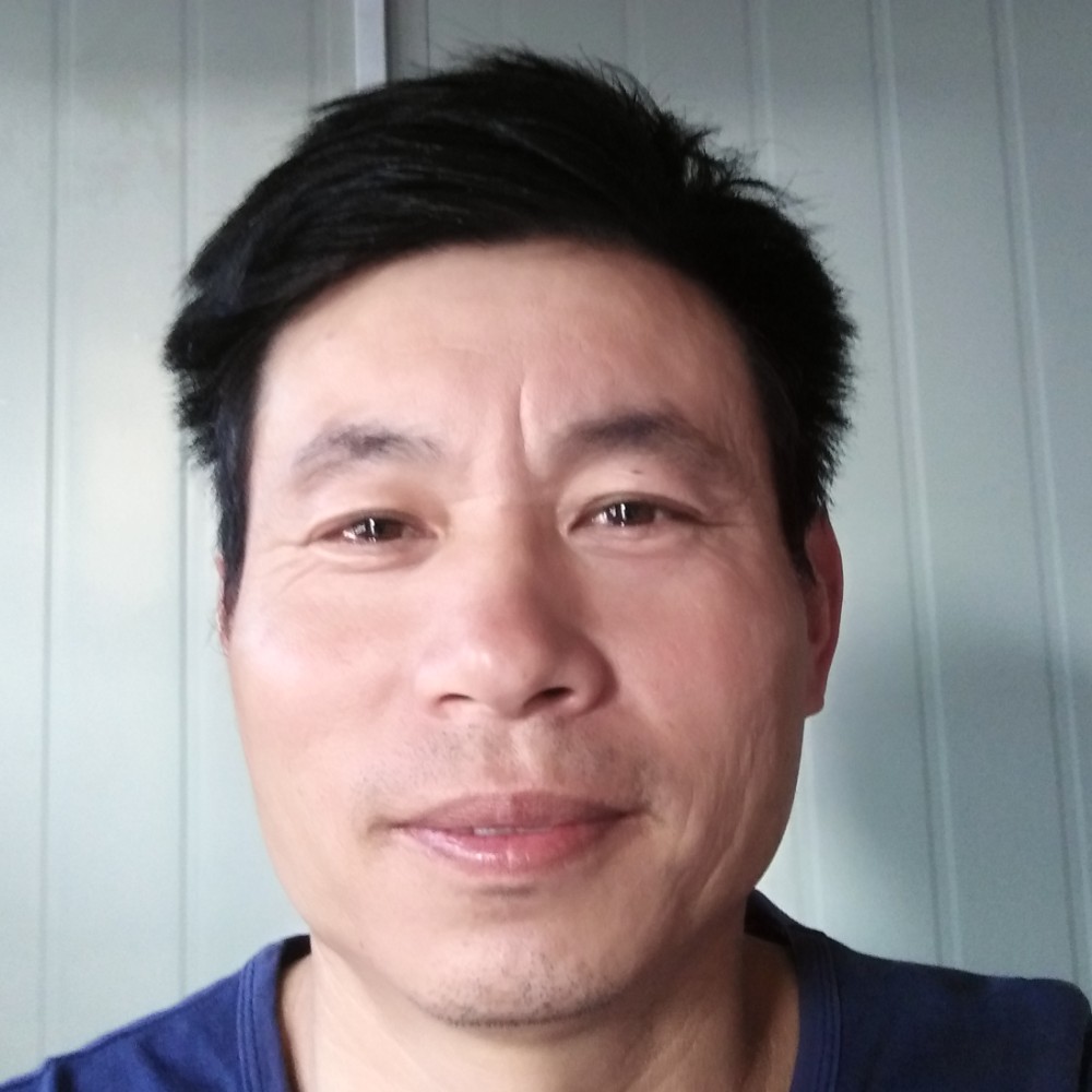 辉煌阳光的照片