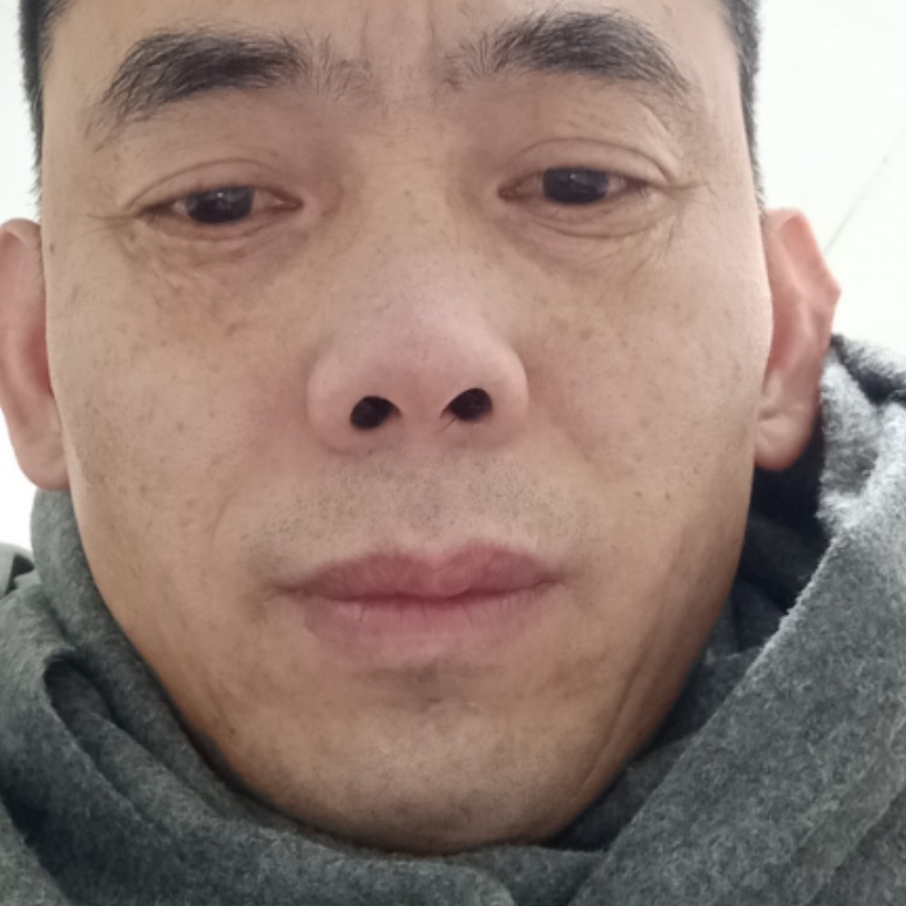 蚂蚁回眸曾经的照片