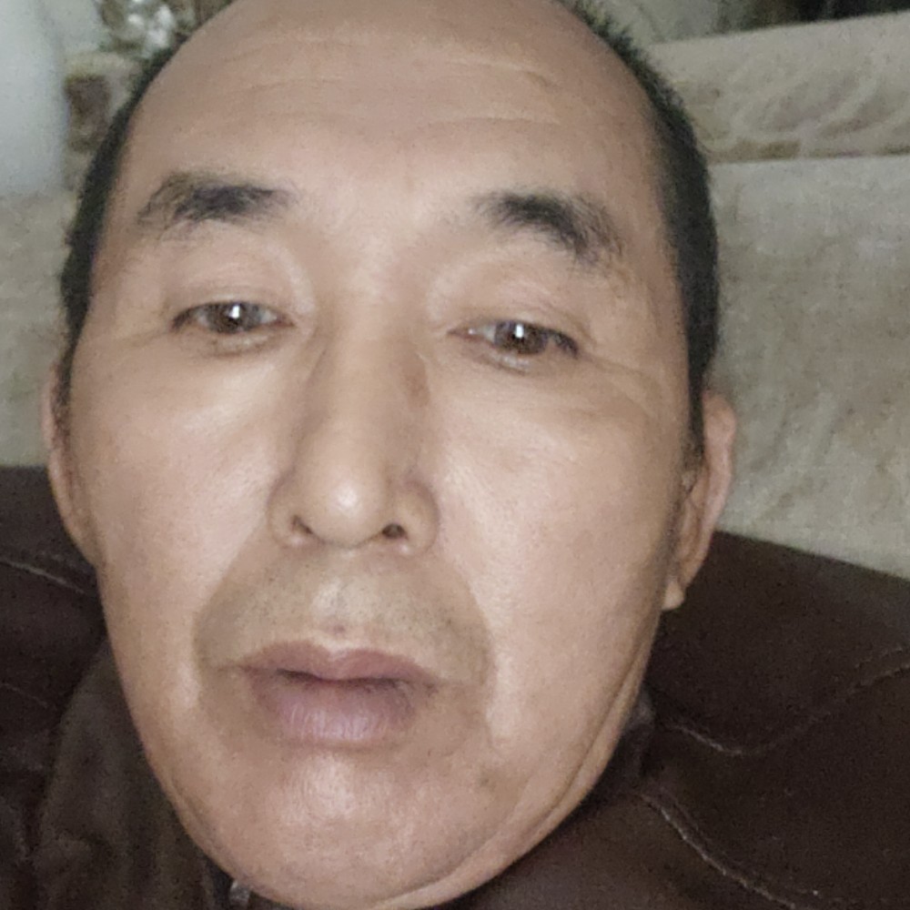 枕头保卫轻松的照片