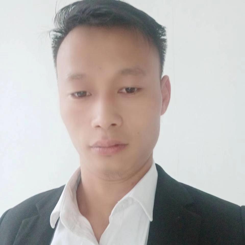 隨风儿去的照片