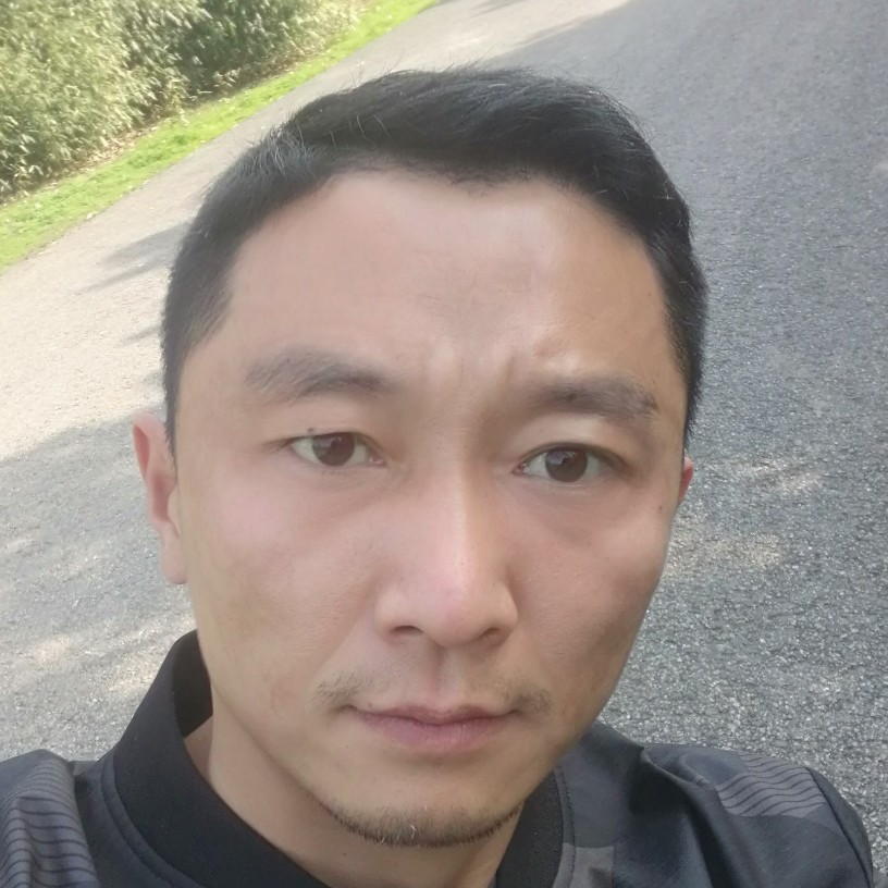 寒冷改变向日葵的照片