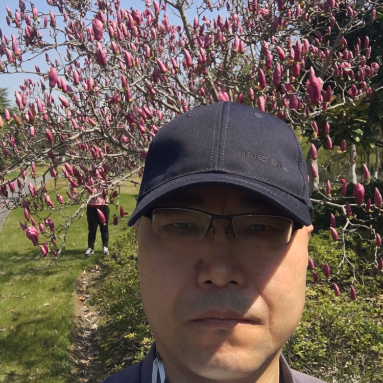 追风深圳的照片