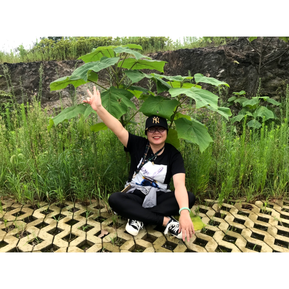 墨菁的照片