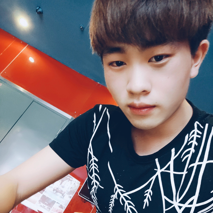 呆、。，的照片