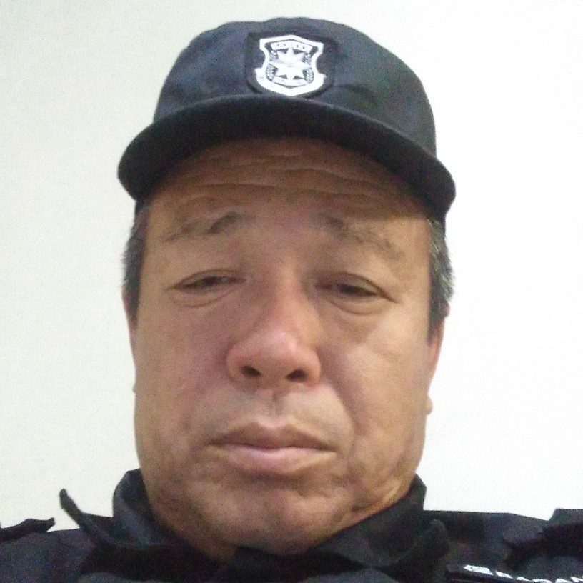 老鼠与洁净的照片