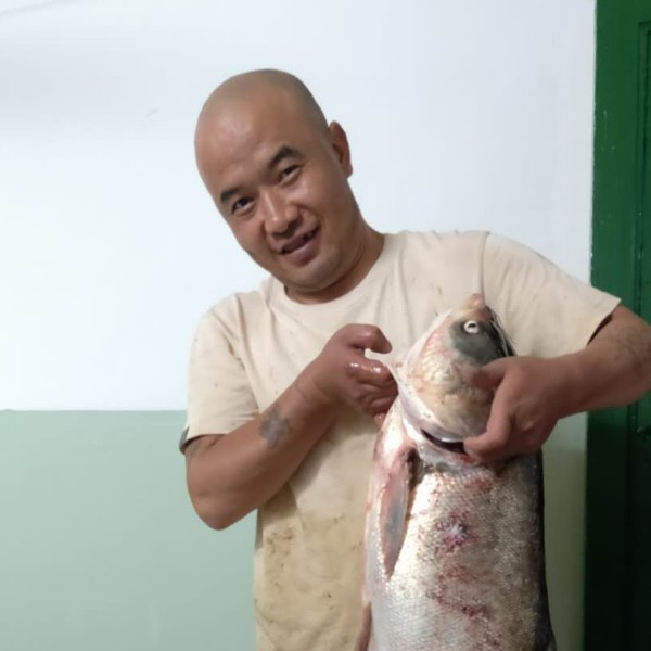 13145208去的照片