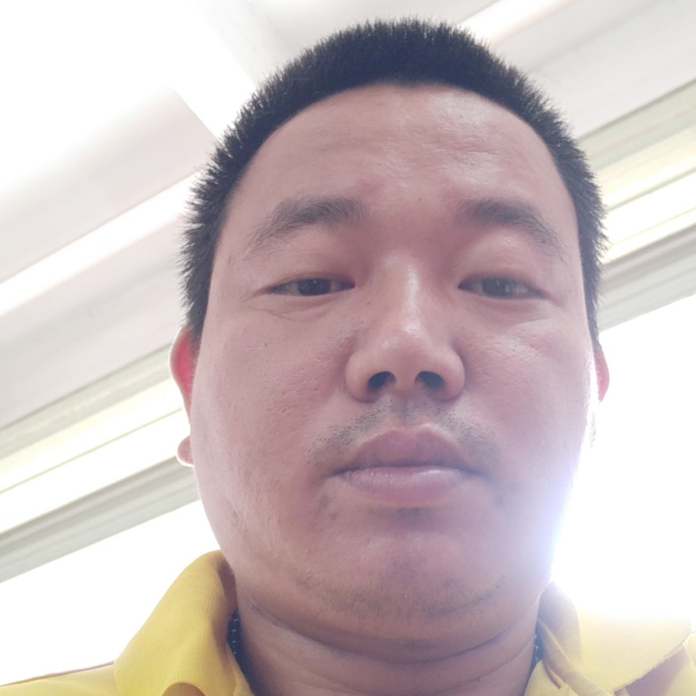 小蚂蚁坚强的照片