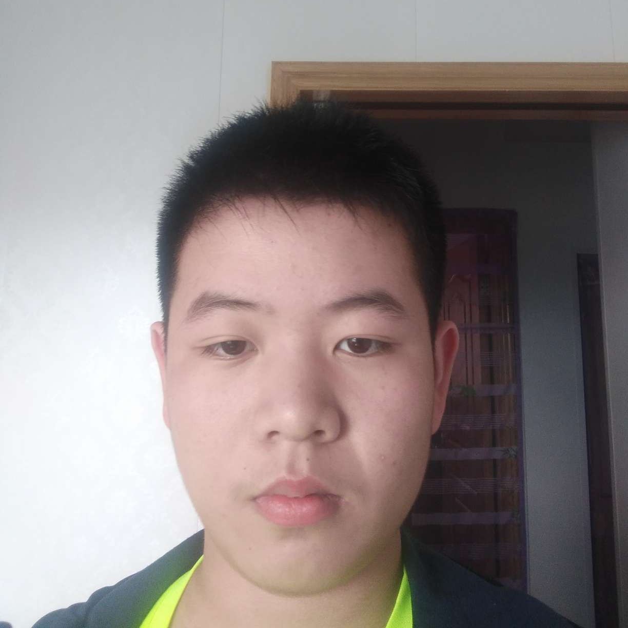 丰富就狗的照片