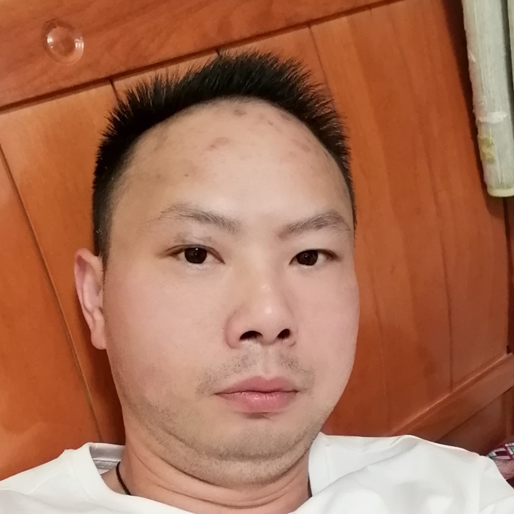 树叶坚定的照片
