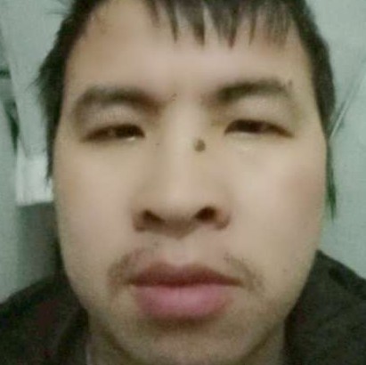 淡淡爱康乃馨的照片