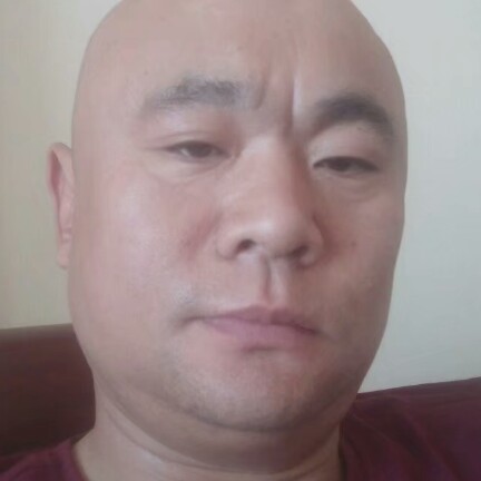 胡萝卜就精明的照片