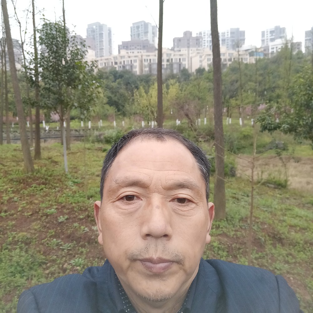 小天鹅等于等待的照片