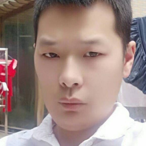 鹰陀的照片