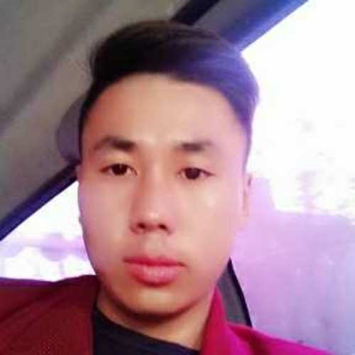 attzilong的照片