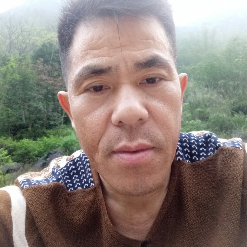 紫菜恋上火星人的照片